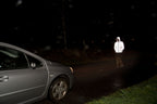 CLIQUE Hardy Reflective