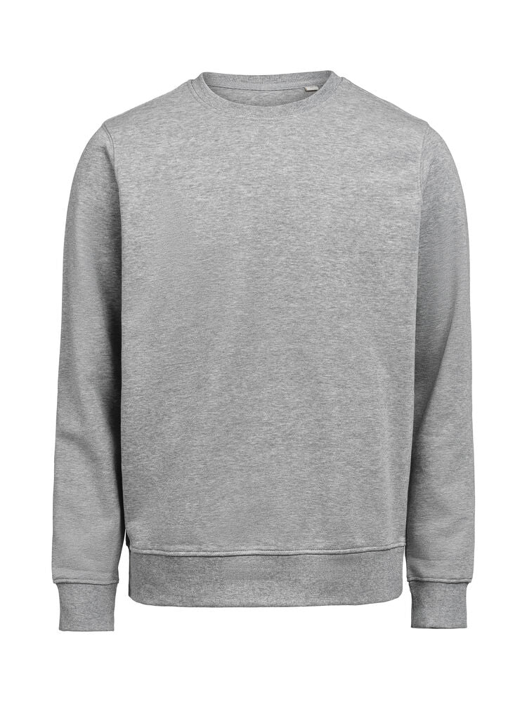 UM Crewneck Regular Fit