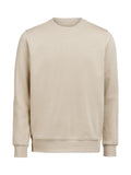 UM Crewneck Regular Fit