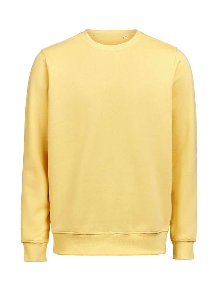UM Crewneck Regular Fit