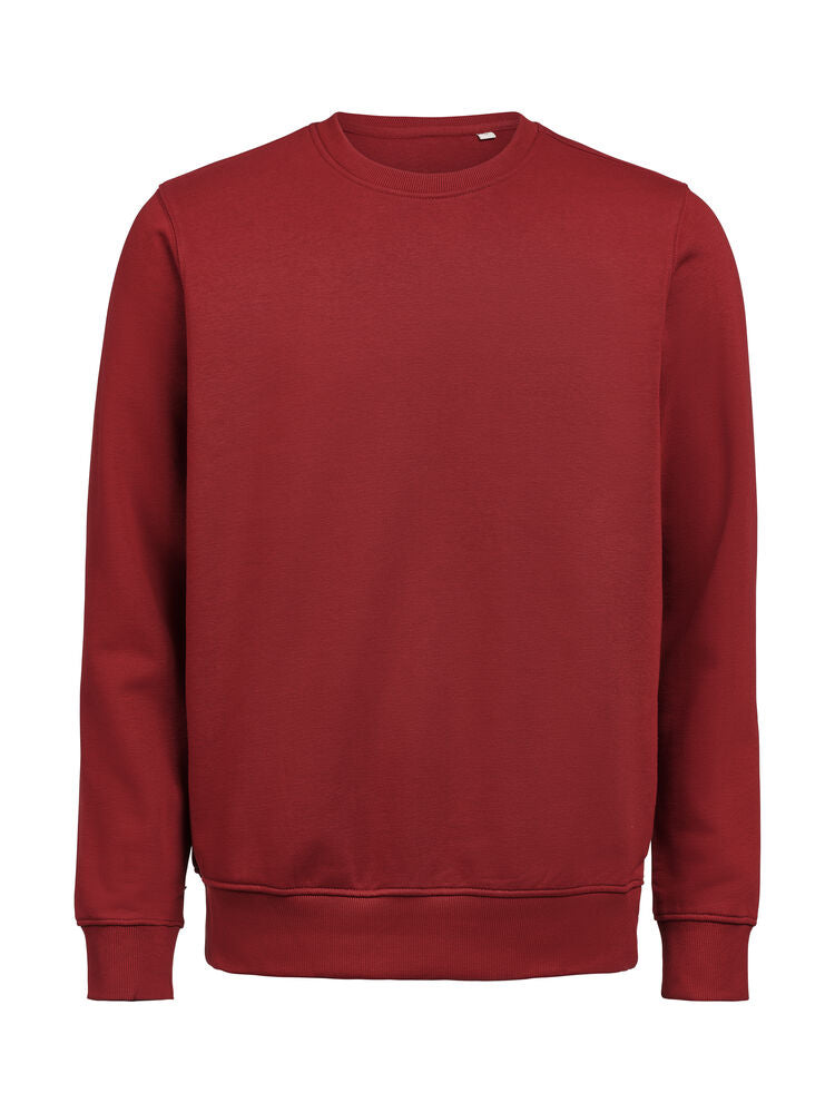 UM Crewneck Regular Fit