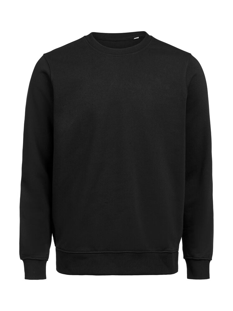 UM Crewneck Regular Fit